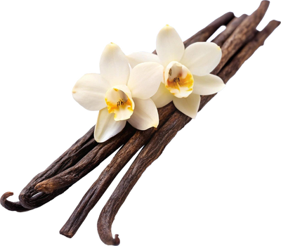 Vanilla